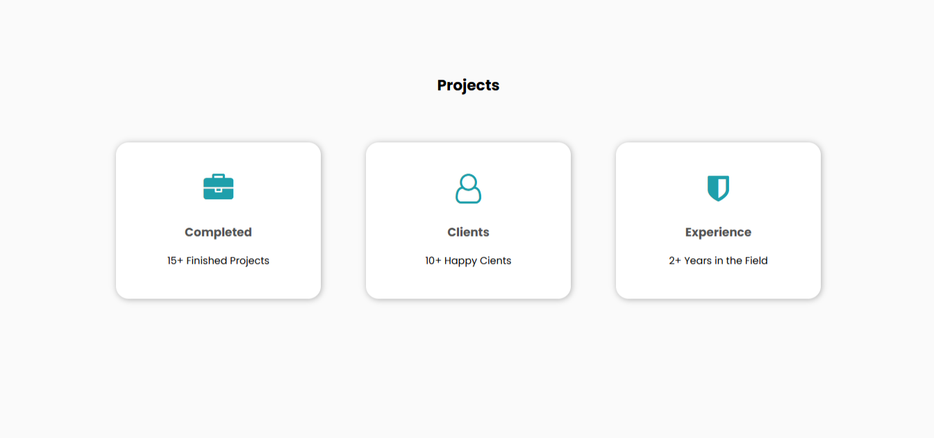 landing page project section
